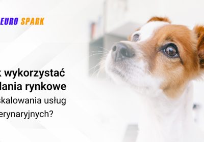Jak wykorzystać badania rynkowe do skalowania usług weterynaryjnych?
