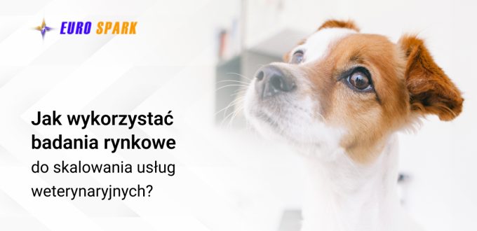 Jak wykorzystać badania rynkowe do skalowania usług weterynaryjnych?